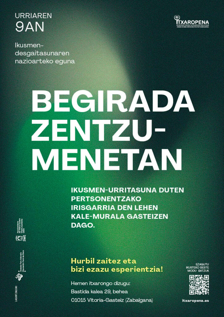 begirada zentzumenetan